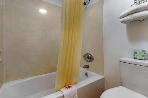 Econo Lodge Inn & Suites Lugoff image 14