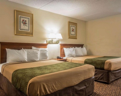 Econo Lodge Inn & Suites Lugoff image 20