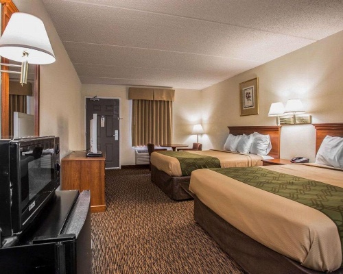 Econo Lodge Inn & Suites Lugoff image 22