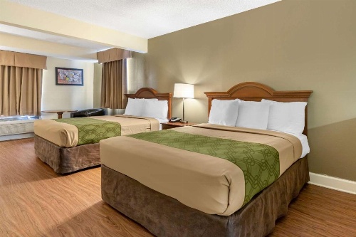 Econo Lodge Inn & Suites Lugoff image 6