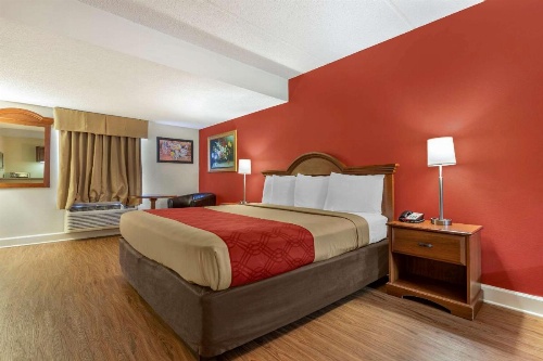 Econo Lodge Inn & Suites Lugoff image 8